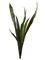 12-Pack: Snake Plant Spray with 6 Silk Leaves by Floral Home&#xAE;